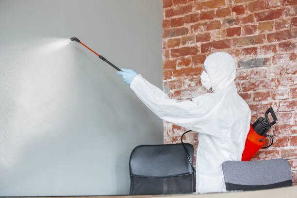 Best Forensic Mold Investigation  in Pea Ridge, FL