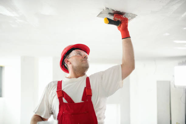 Best Industrial Mold Remediation  in Pea Ridge, FL