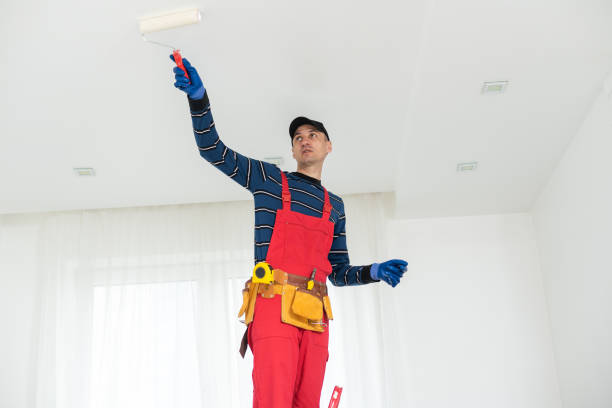 Best Mold Odor Removal Services  in Pea Ridge, FL