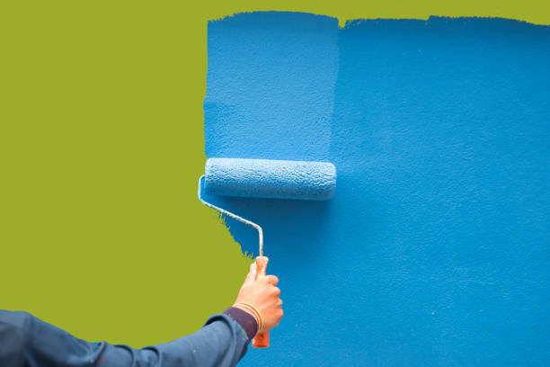 Best Black Mold Removal  in Pea Ridge, FL